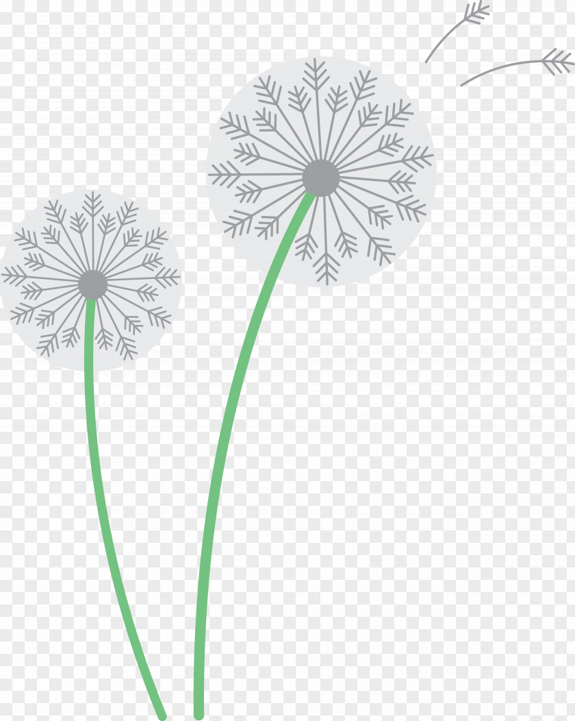 Seeds Common Dandelion Drawing Clip Art PNG