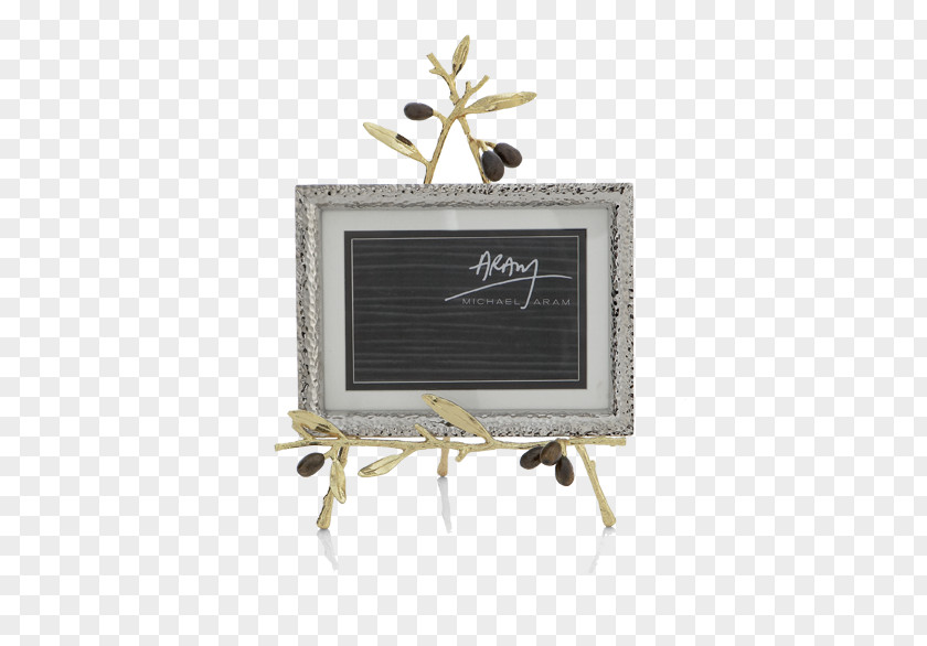 Decorative Olive Branch Picture Frames Artist Photography PNG