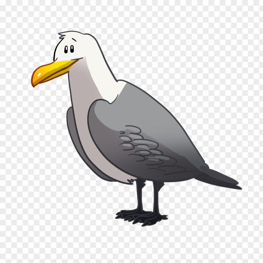 Goose Beak Cygnini Bird Grey Geese PNG