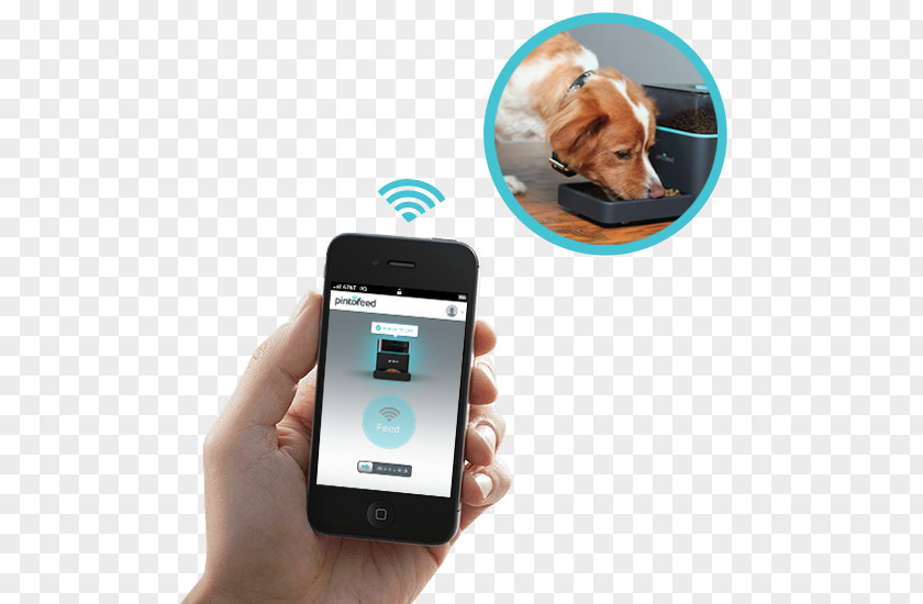 Smartphone Animal Pet Dog PNG