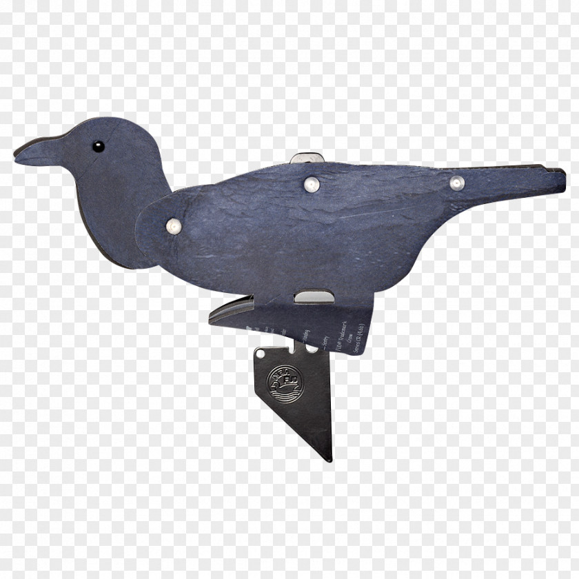 Bird Beak Water PNG