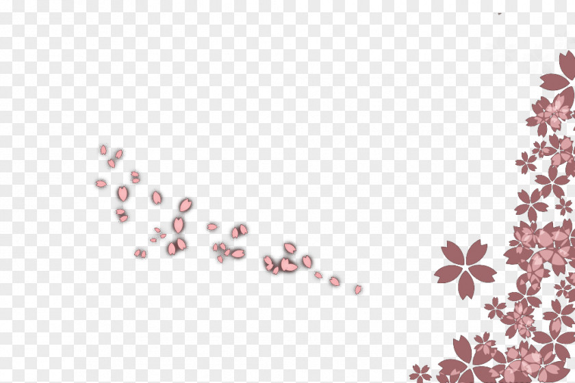 Cherry Blossom Petals Petal PNG