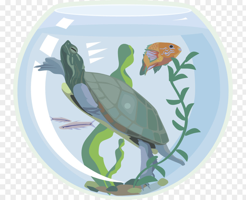 Fish Tank Sea Turtle Aquarium Pet Clip Art PNG
