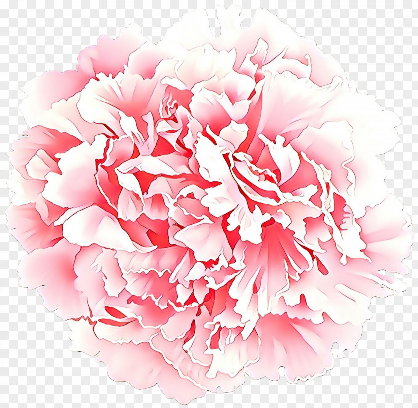 Hydrangea Dianthus Pink Flower Cartoon PNG