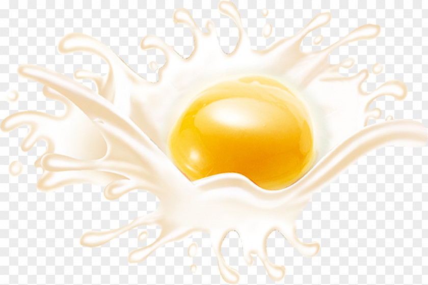 Egg Brand Yellow Wallpaper PNG