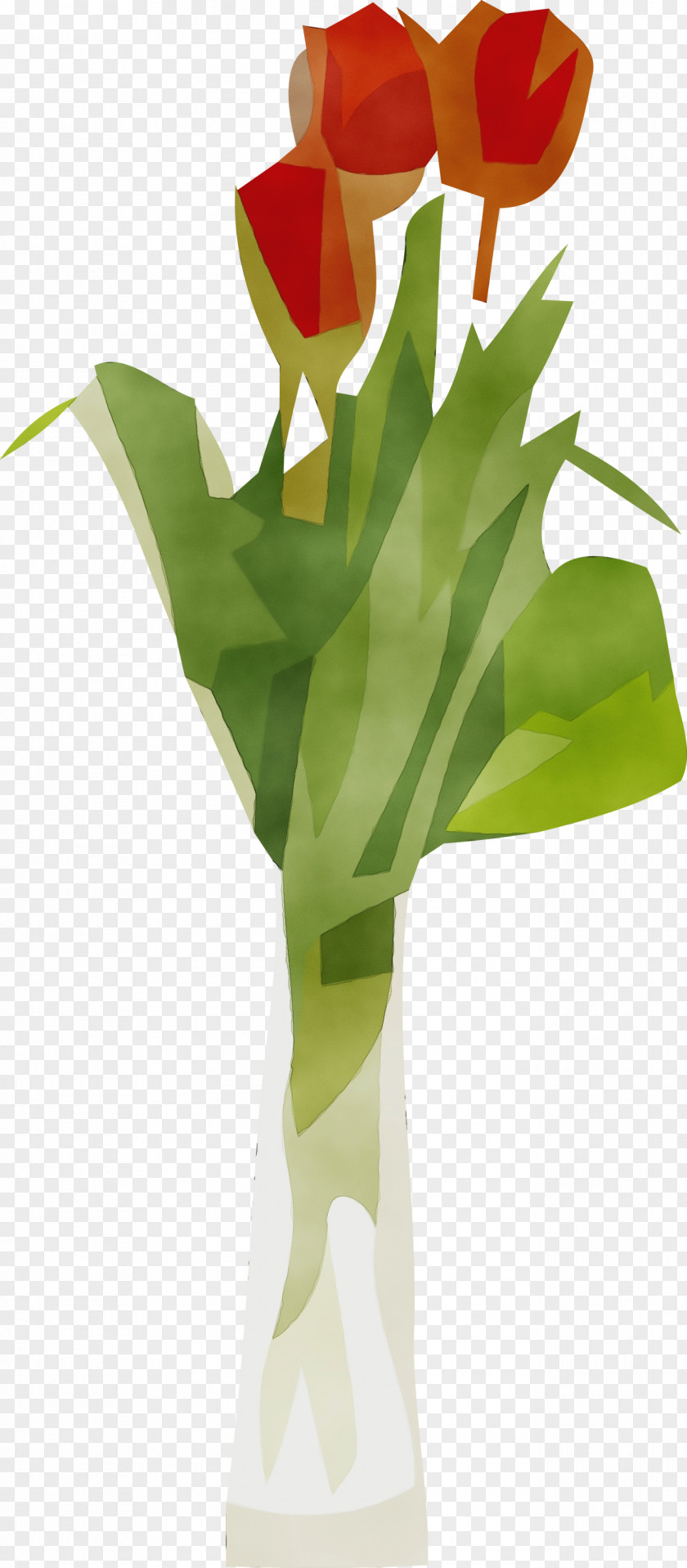 Floral Design PNG