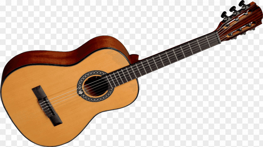 Guitar Classical Acoustic-electric Acoustic PNG