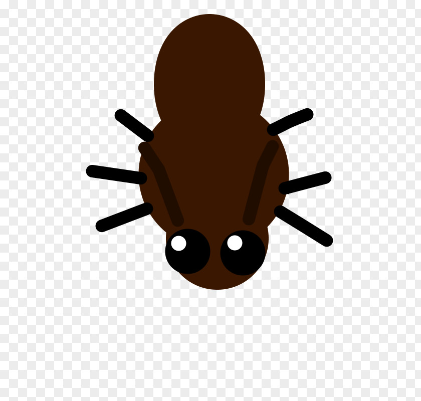 Insect Ant Clip Art Reddit News PNG