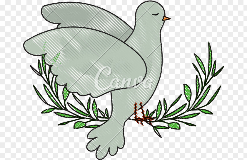 Peace Frame Pigeon Stock Illustration Pigeons And Doves Vector Graphics Clip Art PNG