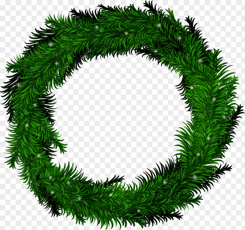 Pine Fir Christmas Decoration PNG