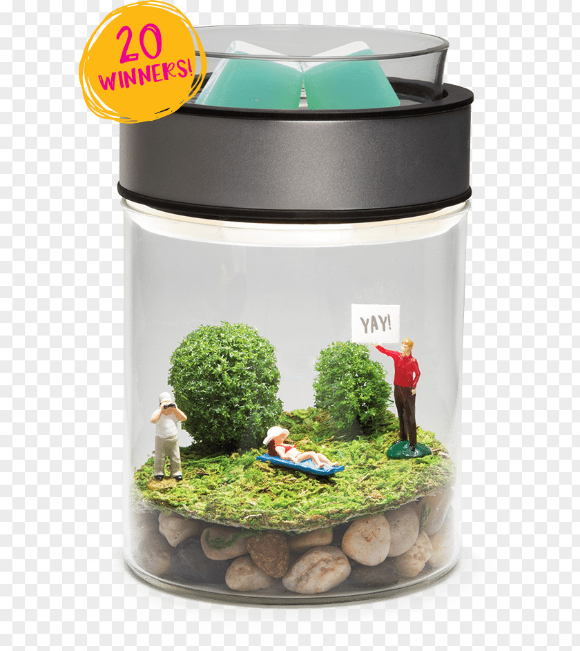 2016 Spring And Summer Scentsy Warmers Terrarium Aquariums PNG