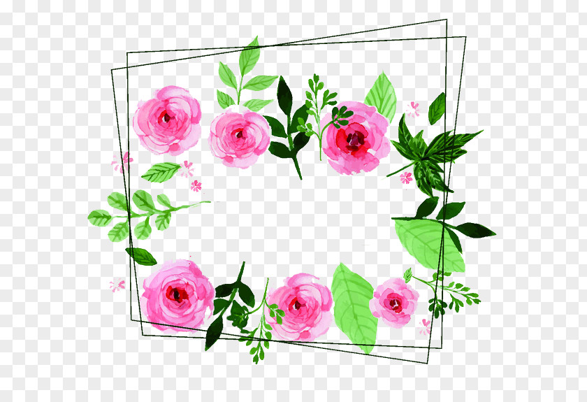 Floral Decoration Flower Design Painting PNG