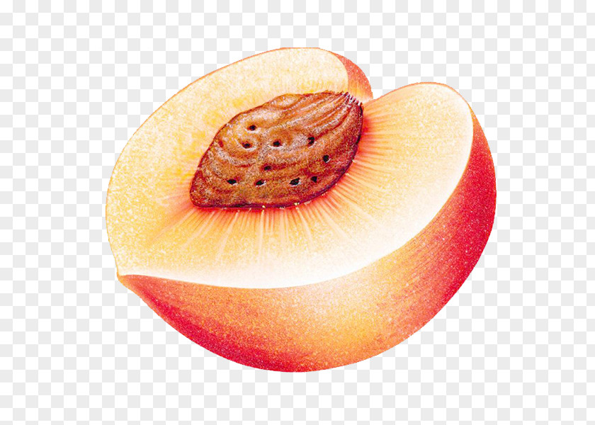 Half Peaches Peach Auglis Download Computer File PNG