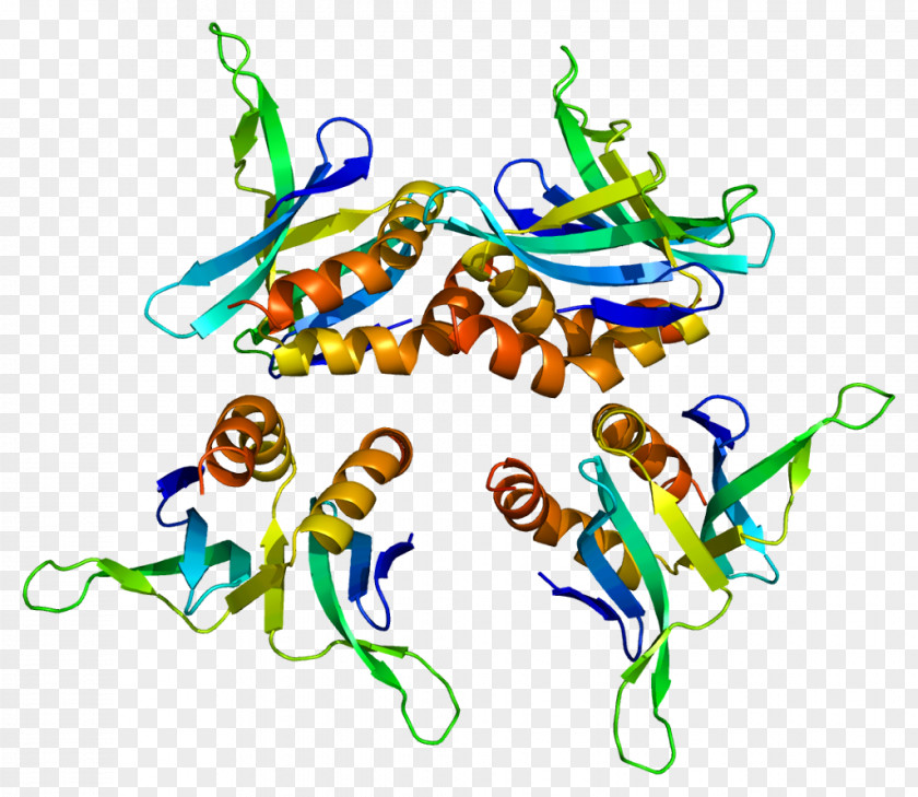 Protein SUB1 Fusion Gene Nucleolin PNG