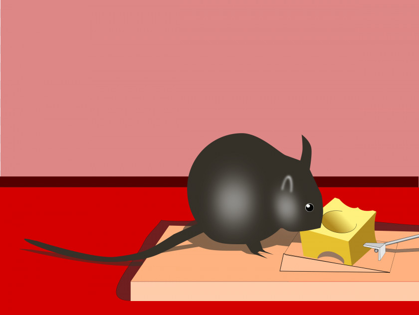 Rat Mousetrap Rodent Bait PNG