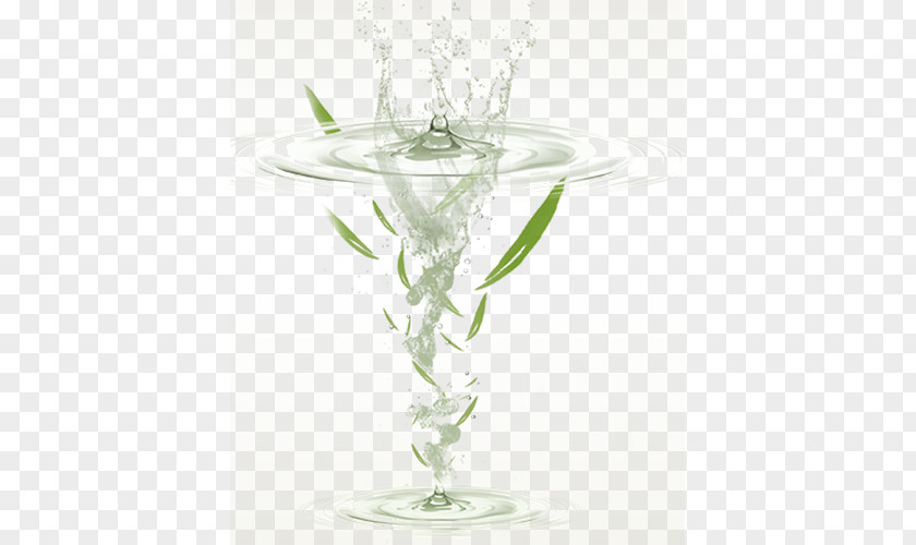Water Leaves Leaf Euclidean Vector PNG