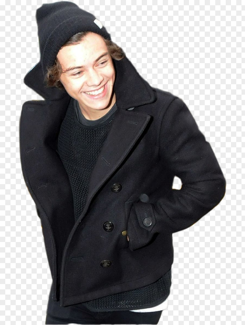 Body Harry Styles One Direction The X Factor Musician PNG