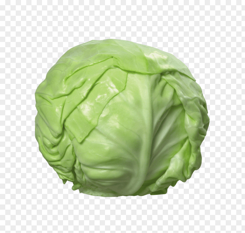 Cabbage Napa Cauliflower Vegetable PNG