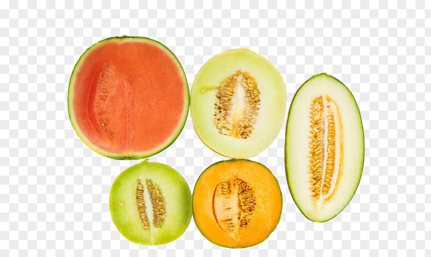 Fresh Hami Melon And Watermelon Charentais Cantaloupe Honeydew Canary PNG