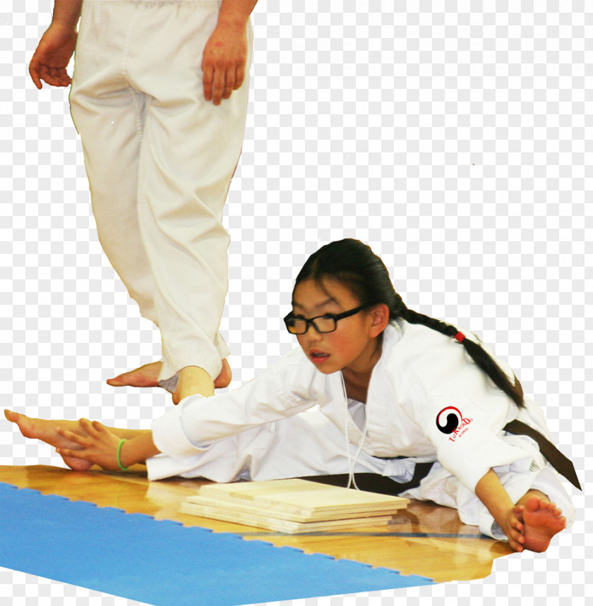 Mixed Martial Artist Taekwondo Taekkyeon Japanese Arts Karate Hapkido PNG