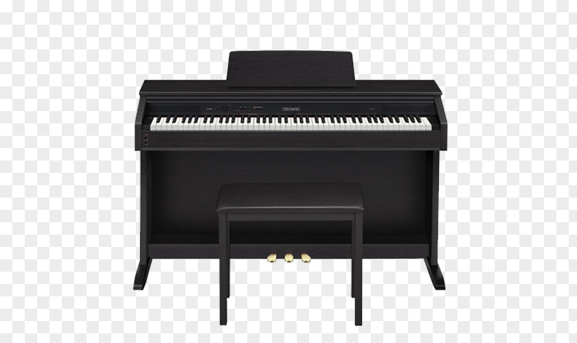 Musical Instruments Digital Piano Keyboard Privia PNG