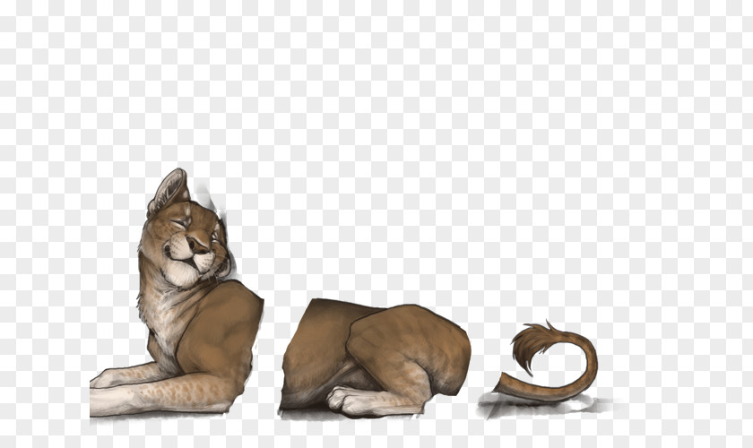 Cat Big Cougar Dog Fur PNG