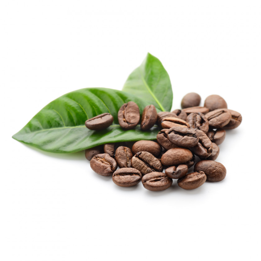 Coffe Coffee Bean Green Extract Roasting PNG