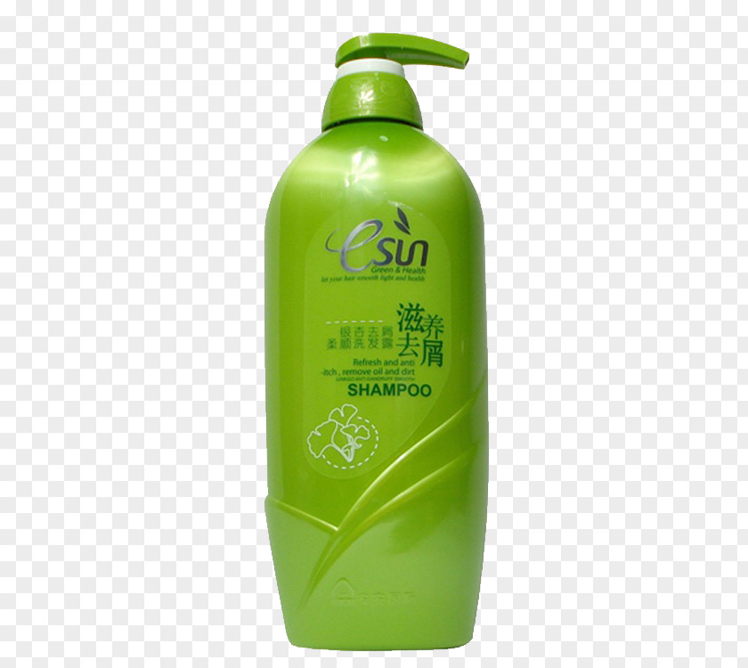 Ginkgo Fruit Nourishing Shampoo Lotion Nutrient PNG