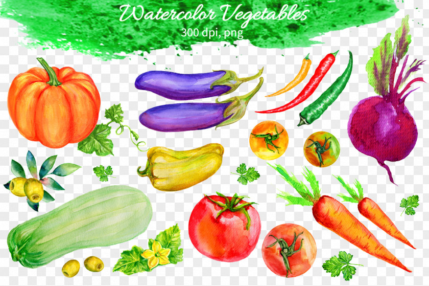 Hand-painted Vegetable Shading Fruit Watercolor Painting Eggplant PNG