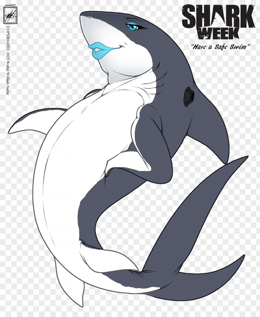 Inflatable Whale Shark Porpoise Great White PNG