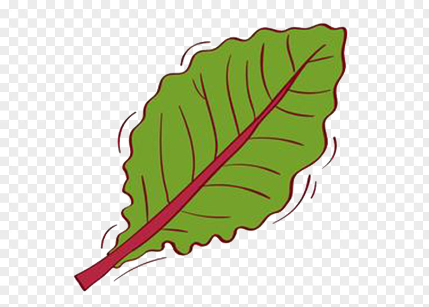 Leaf,Fallen Leaves Leaf Deciduous Clip Art PNG