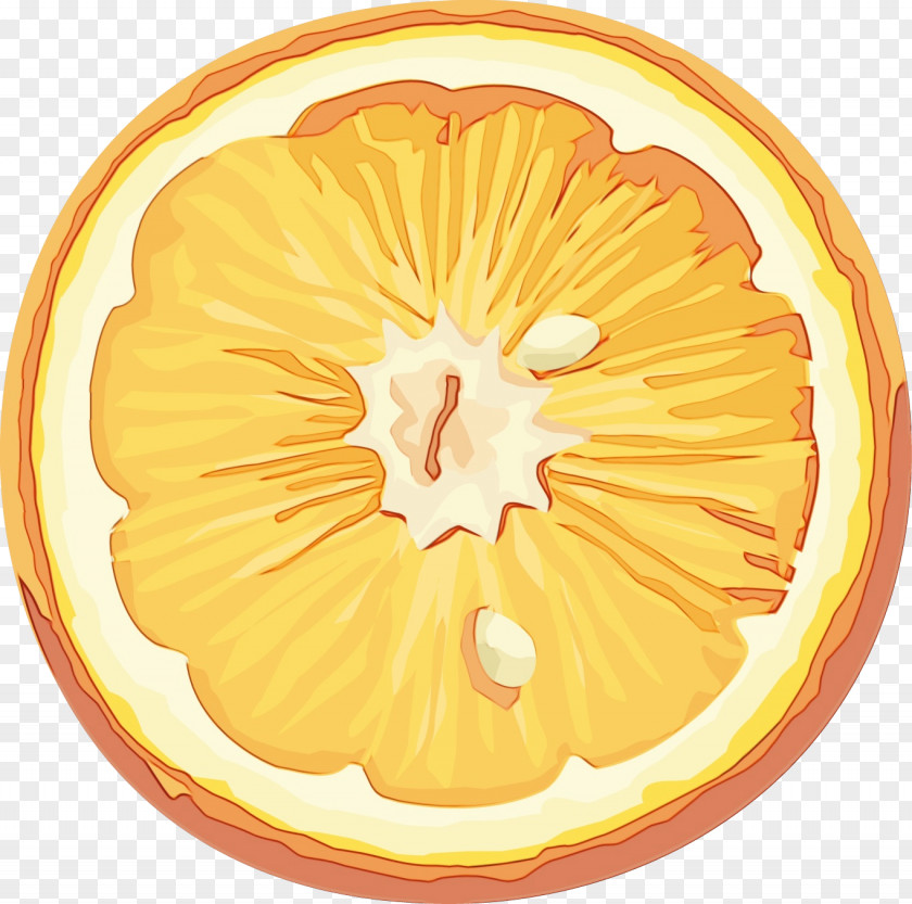 Vegetarian Food Lemon Orange PNG