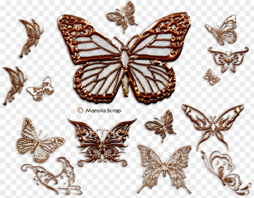 Butterfly Brush-footed Butterflies Moth Insect PNG