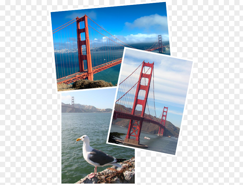 Collage San Francisco Advertising Picture Frames Leisure PNG
