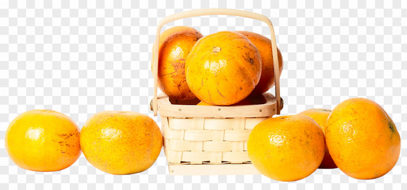 Lemon Clementine Mandarin Orange Tangerine Tangelo PNG