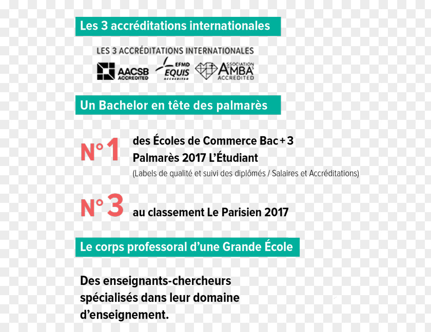 Bachelor Toulouse Business School Casablanca Organization Management PNG