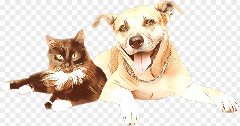 Chihuahua Small To Mediumsized Cats Dog And Cat PNG
