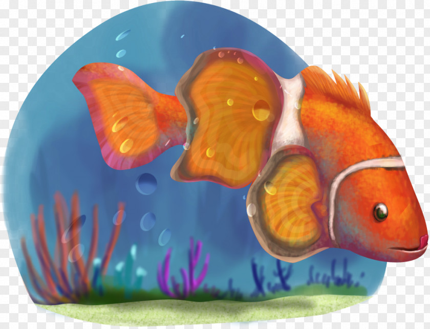 Clown Fish Desktop Wallpaper Image Clownfish PNG