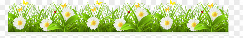 Green Flowers, Bushes Euclidean Vector Material Computer File PNG