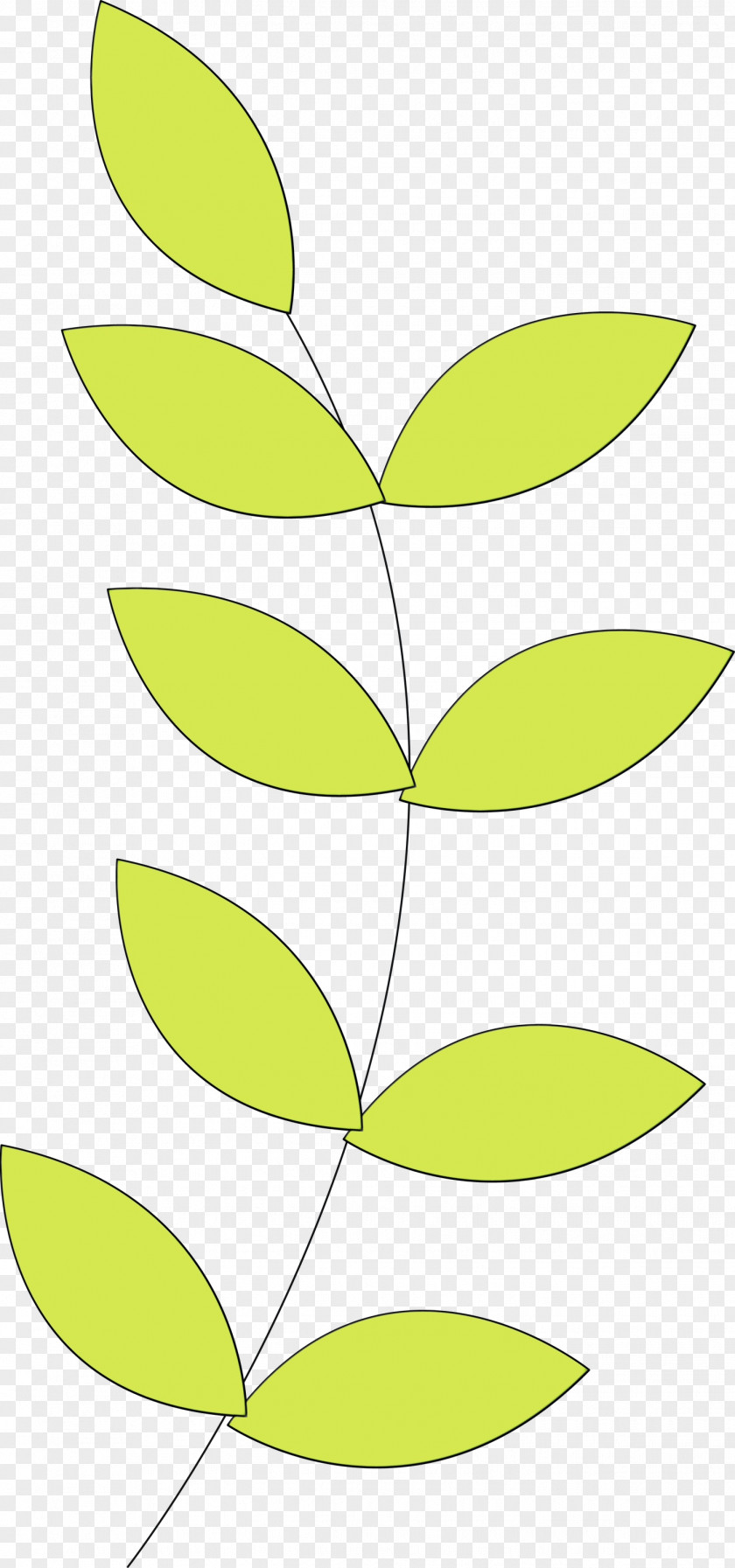 Leaf Plant Stem Angle Line Yellow PNG