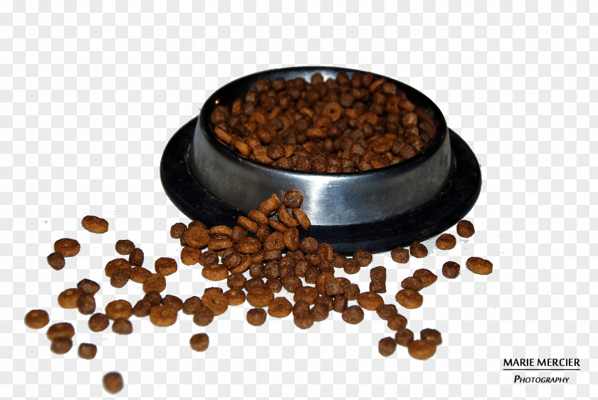 Medecine Dog Cat Croquette Raw Feeding Food PNG