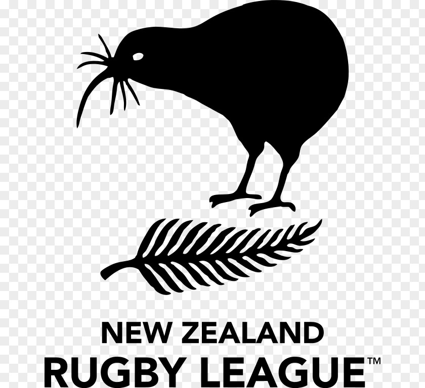 New Zealand Kiwi National Rugby League Team Union Fiji PNG