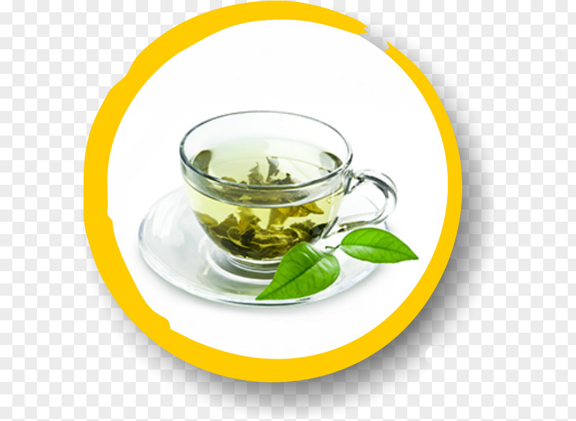 Tea Green Lotion Food Health PNG