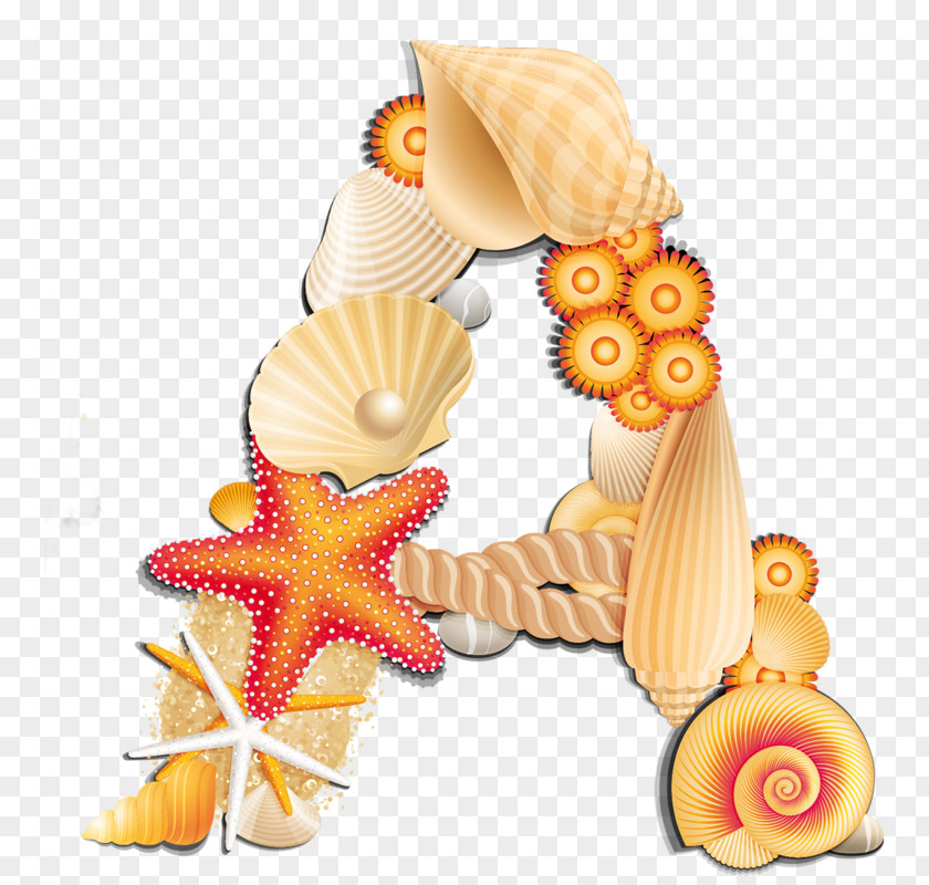 Beach Letter Alphabet Clip Art Seashell PNG