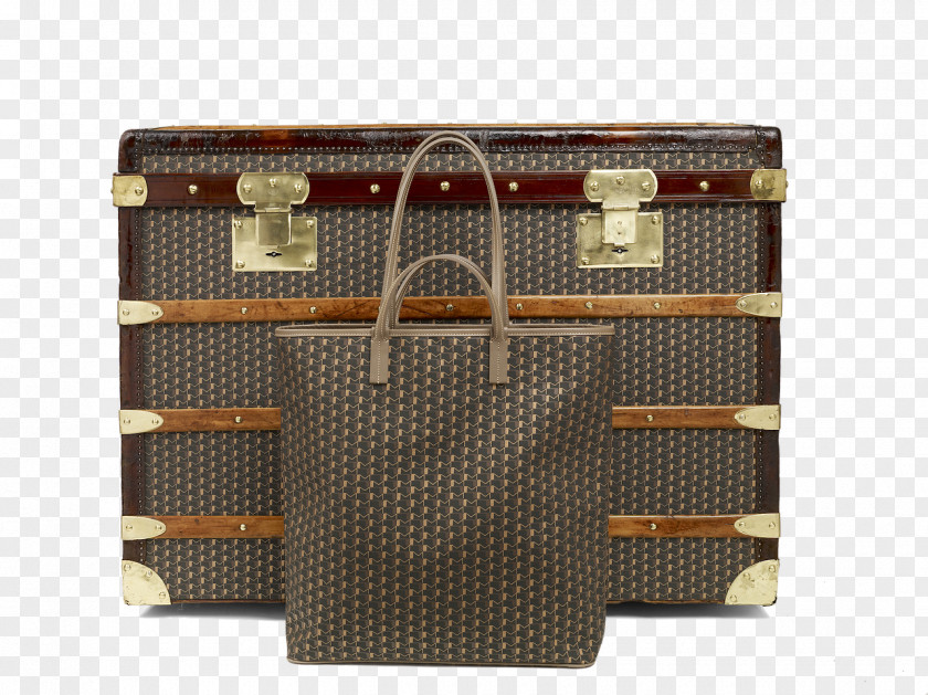 Cameron Diaz Moynat Trunk Baggage Goyard Luxury PNG