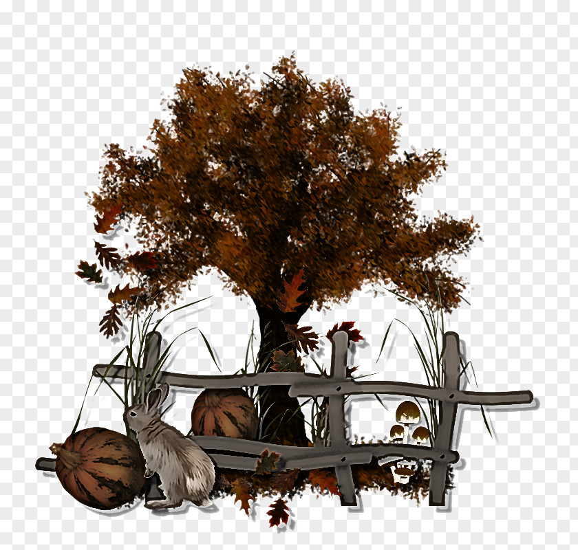 Furniture Branch Tree Woody Plant PNG