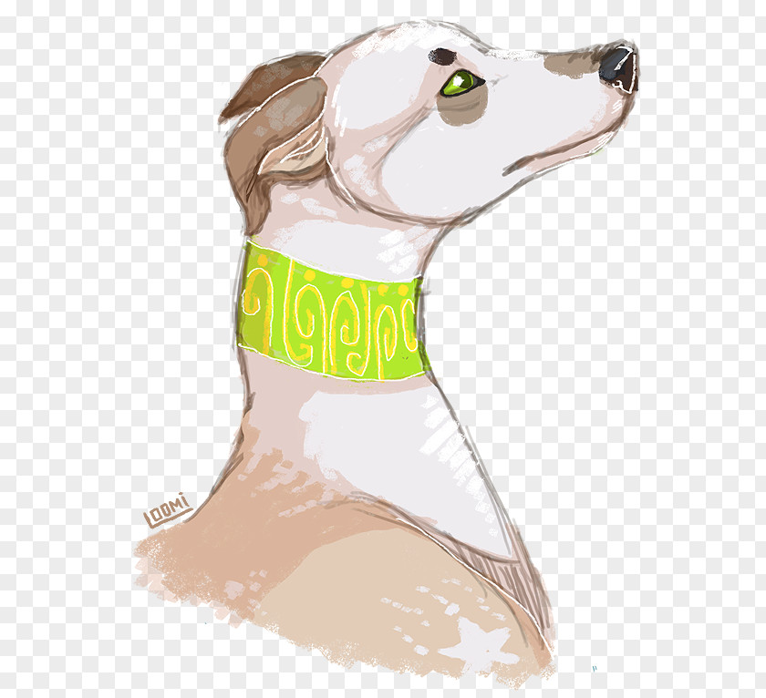 Misse Dog Breed Italian Greyhound Cartoon PNG