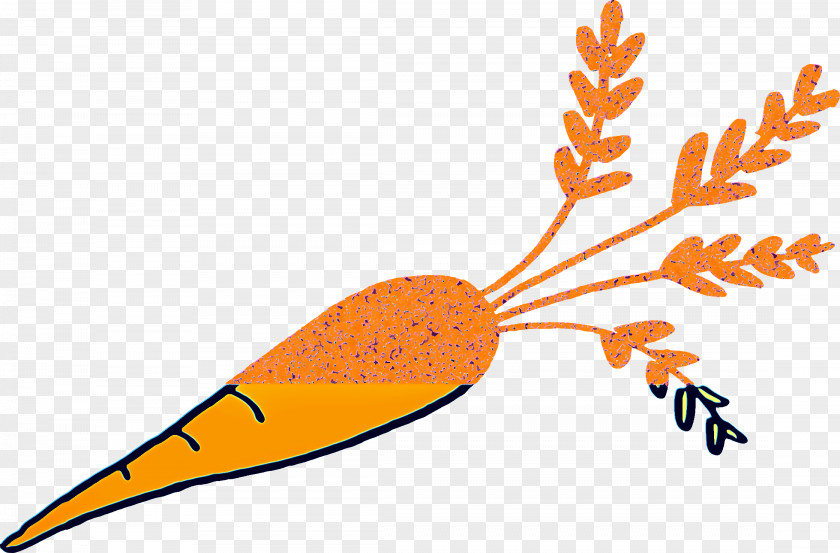 Plant Orange Leaf Drawing PNG