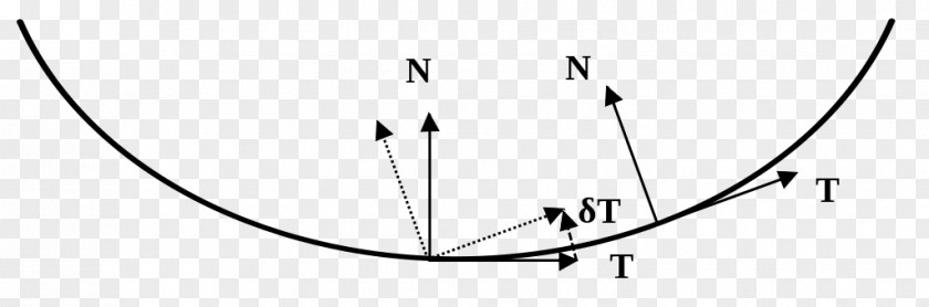 Salix Alba Radius Of Curvature Line Curve Differential Geometry PNG