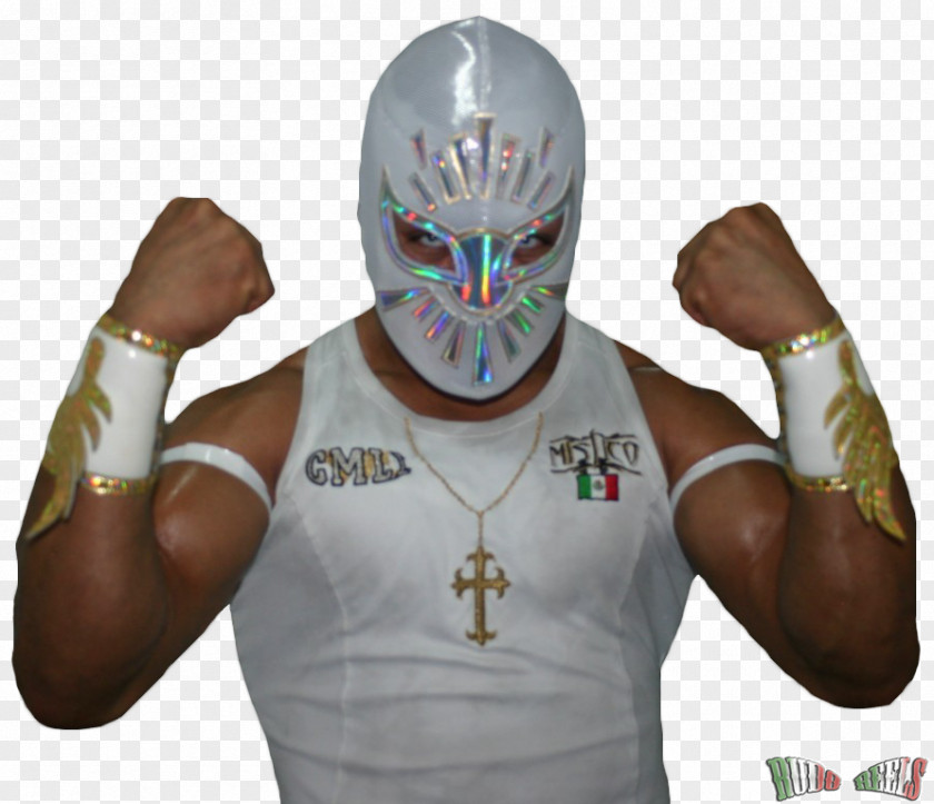 Triplemanía Professional Wrestler Consejo Mundial De Lucha Libre AAA Worldwide Wrestling PNG